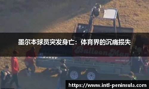 半岛体育