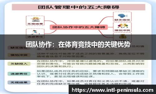 半岛体育官方网站
